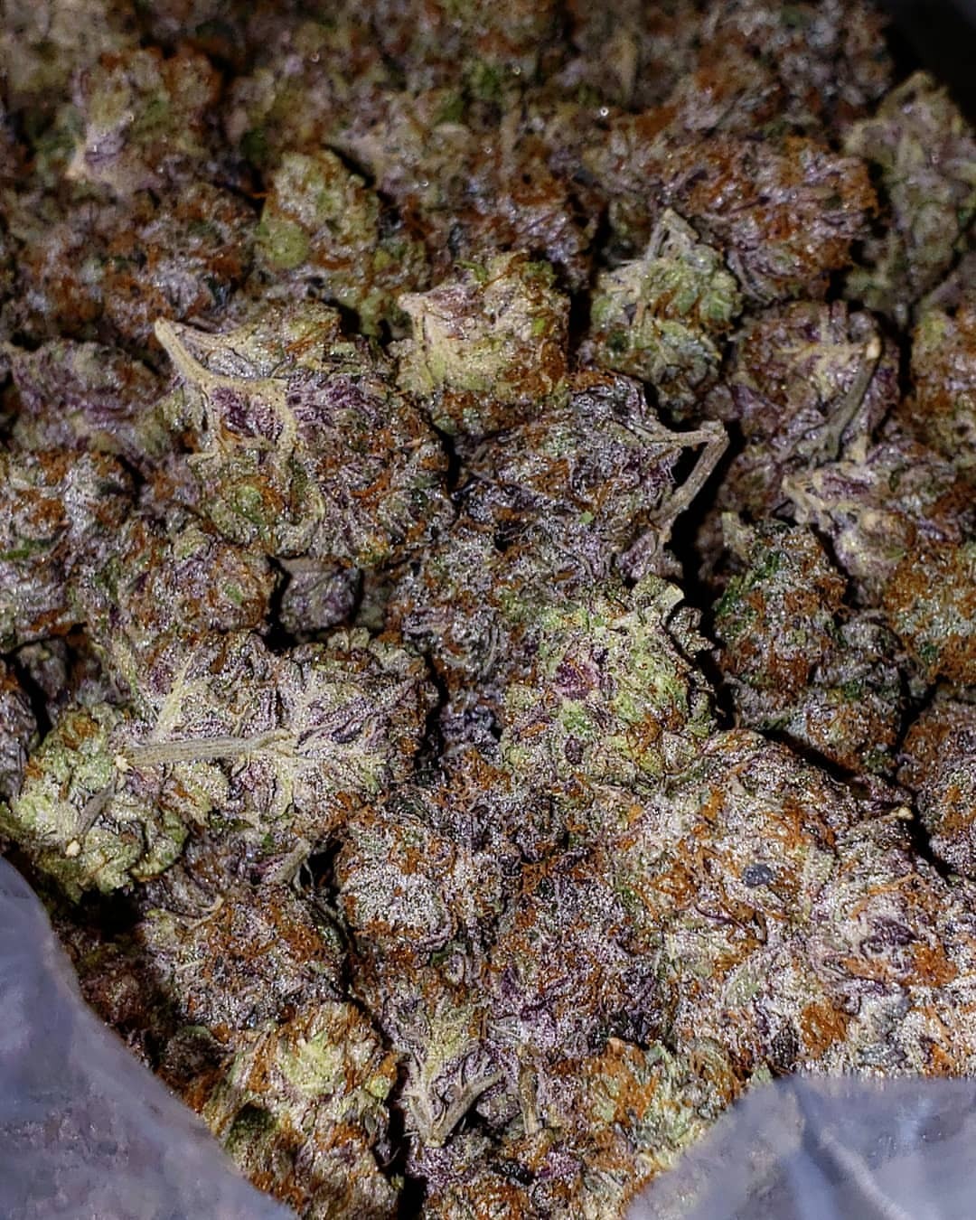 weed001man:  