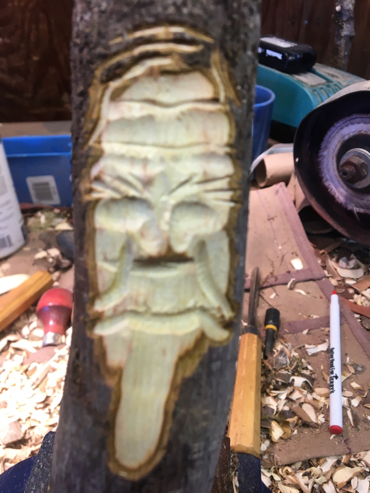 fourth step, add jowls and mouth