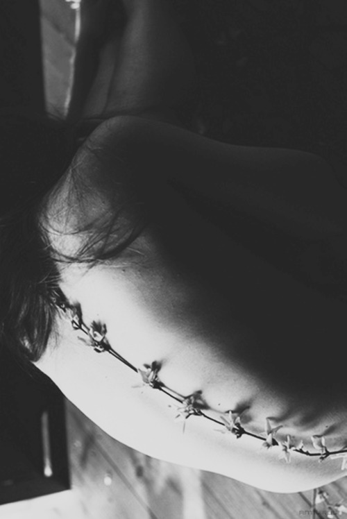 http://loxapine.tumblr.com/post/106449272929