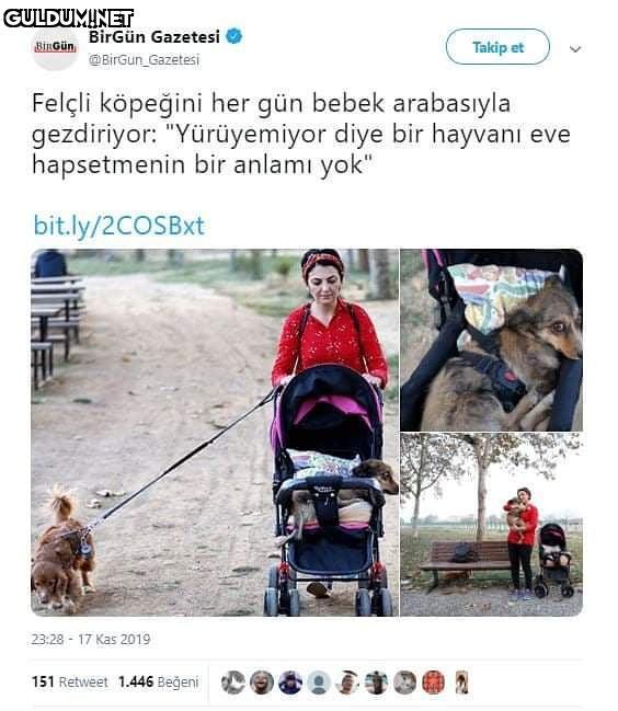BirGün Gazetesi Takip et...
