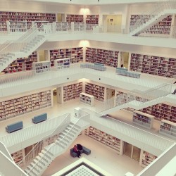    The World’s Most Beautiful Libraries “Without libraries what have we? We have no past and no future.” -Ray Bradbury For centuries, books have housed the collective knowledge of the world and formed the foundations of educational institutions.