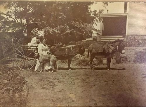 There’s a satisfying pairing motif happening in this Biddle family photograph. Two staunch ladies, t