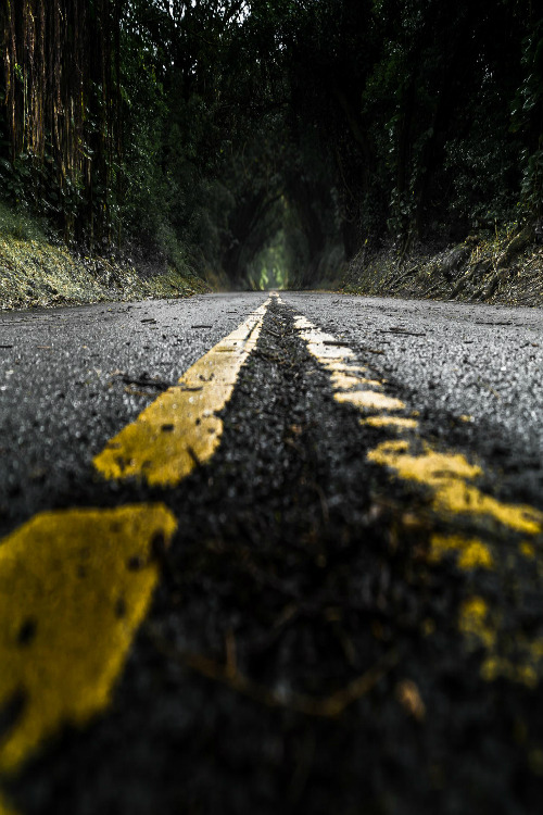 gl0vving:  There is no end || Darren Shimabuku 