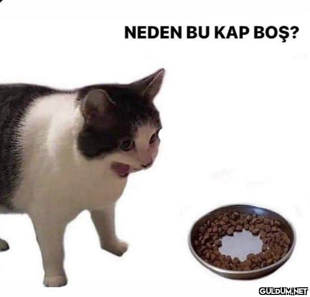 NEDEN BU KAP BOŞ?   Kaynak