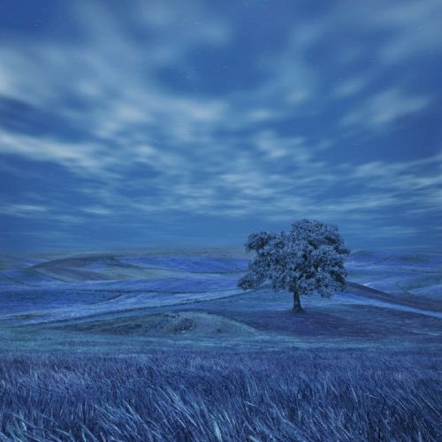 eternal-wonder:  staceythinx:  Stunning skies by Hossein Zare  eternal-wonder: staggering. 
