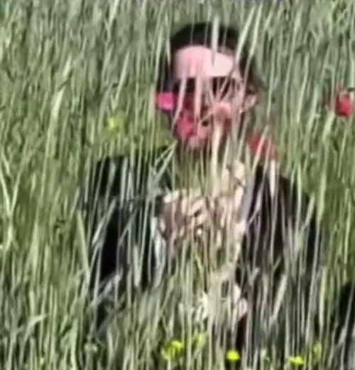 Posting These Because The Victims Are In Our Feels About This Silly Goose, Cutie Pie, Some Fuckin Guy