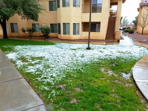 It snowed in Tucson today, for like six straight hours! This does not happen, sometimes it snows at 