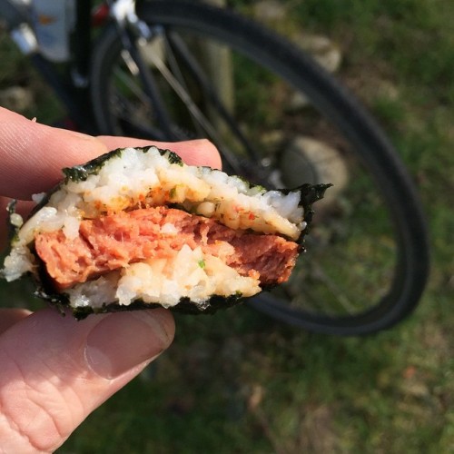 velograph: Son, do you even musubi? #zenbu unknowingly makes the best ride food.