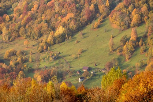 expressions-of-nature:Autumn in Western Ukraine by Dima