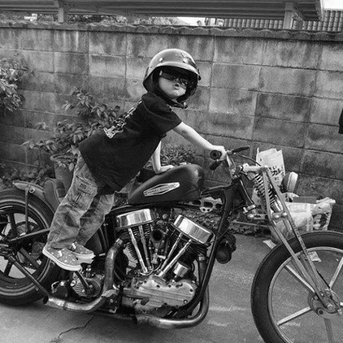 Beautiful Women an bikes