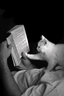 poeticsir:  beautflstranger:  i love reading a story together. i thought you only liked to be read to. i do, but i like this too. as long as you don’t turn the pages too fast. deal. wait. this part right here. see? is that your favourite part? yes,