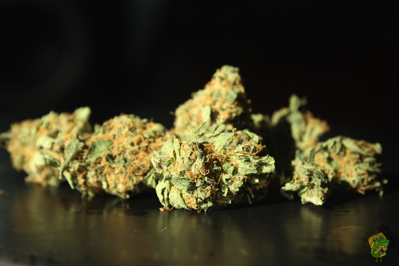 iamoppo:  Unknown Strain 