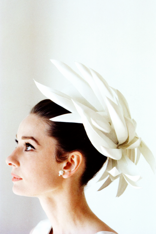 :   Audrey Hepburn photographed by Howell Conant, 1962. 