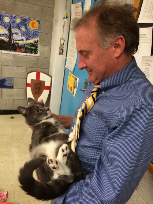 equestrianrepublican:hcwell:the highlight of my day was my teacher bringing his cat to school, and e