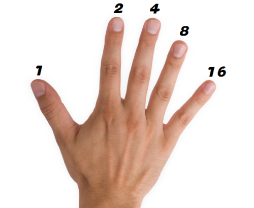 Counting in binary Instead of counting up to five on each hand, a binary system can be used to count up to 31 on one hand, and up to 1023 on two hands. This is done by using your fingers to represent increasing numbers, multiplying by two each time. Once