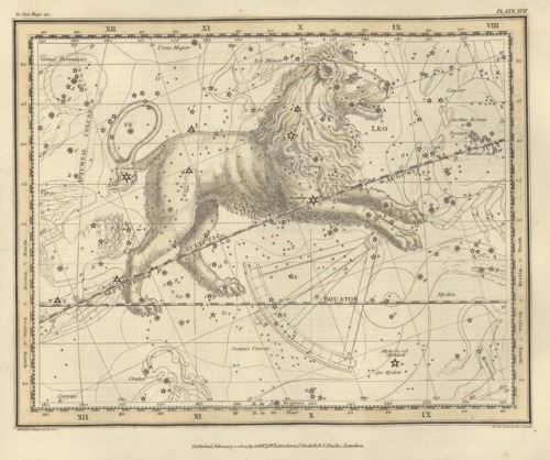 english-idylls:Illustrations from Celestial Maps by Alexander Jamieson (1822).