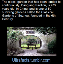 ultrafacts: Source: [x] Follow Ultrafacts for more facts! 