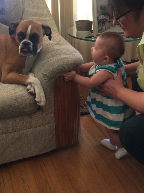 My furry baby is not amused by my human baby