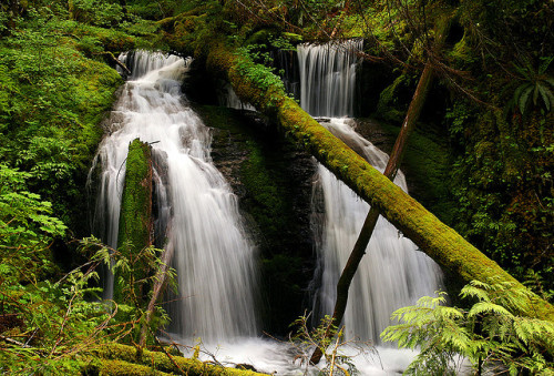 myprettyuniverse: Little Gorge Falls by LiefPhotos on Flickr.