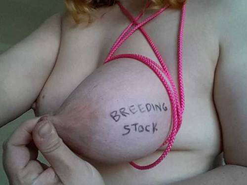 Porn photo Hucows and live stock