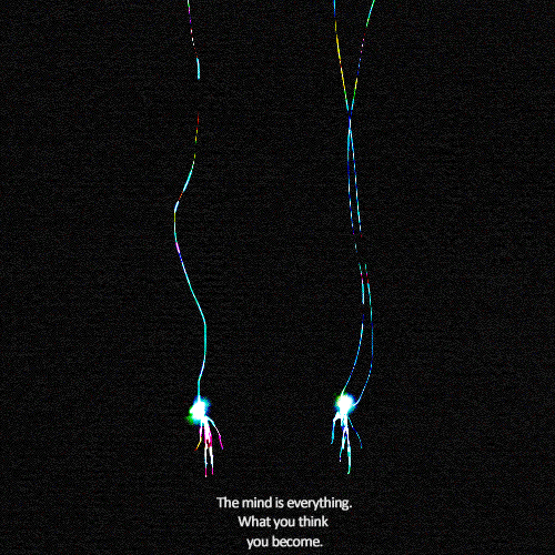  x