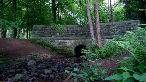 A Bridge in the Woods.