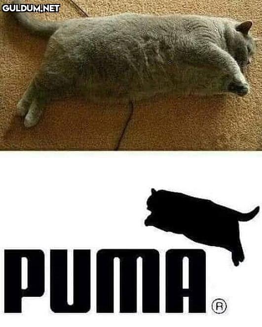 böyle daha güzel olmuş bence PUMA