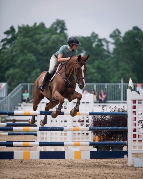 pastel-snaffles: chagrin valley hunter jumper classic 2017