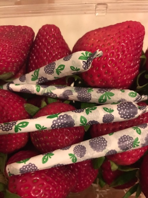 pearlscoutcookies:  Very berry 🍓
