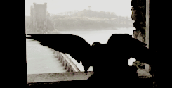 She wants to feed the crows, like they did at the Red Wedding. Freys and Boltons, aye. We’ll give he