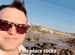 tomdelongue:  This place sucks 