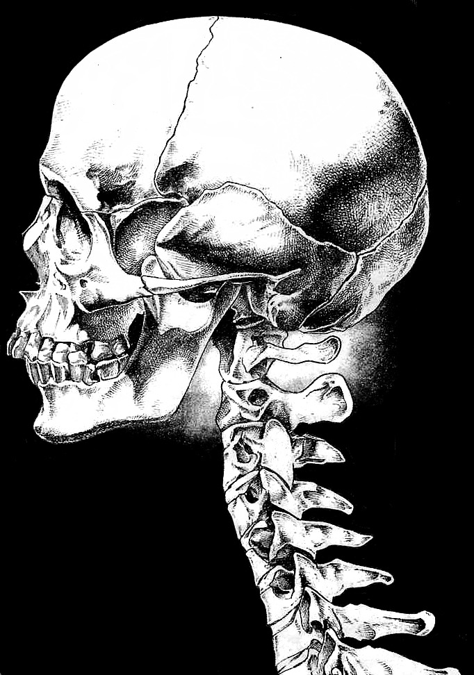psychedelic out of my skeleton