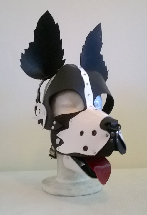 thewellkeptpet:  Brian, your Boarder Collie is decked out with all the bells and whistles. You got spikes, grommets, piercings and a septum ring. It’s all quite dashing!   Omg I want it