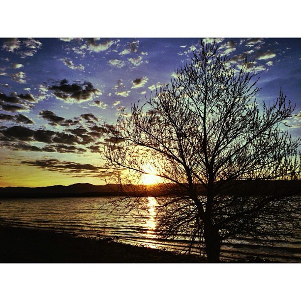 Day 5 @msruntheus. Make today matter. Photo by @fredgoris #sunrise (at Yuba State Park)