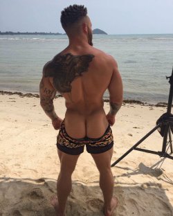 hotcelebs2000:  ASHLEY CAIN 