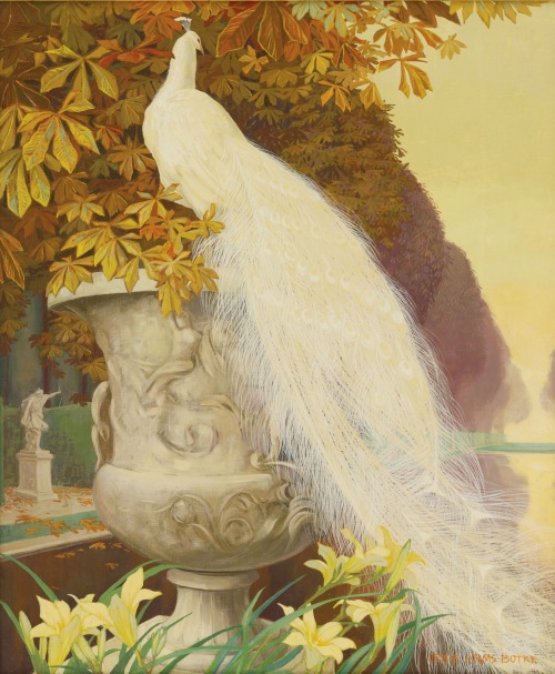 blastedheath:Jessie Arms Botke (American, 1883-1971), White Peacock. Oil on canvas, laid down on boa