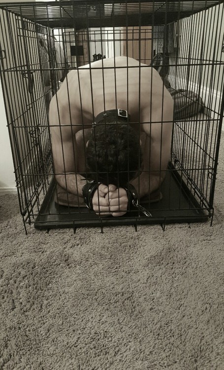 i-am-yours-misss: Miss C always wanted to try out the cage. But of course it’s never that simple. Sh