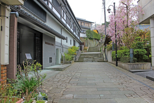 20170415（日）愛宕坂（階段は笏谷石（しゃくだにいし）、水に濡れると深い青色に変化するため別名「青石」「越前青石」とも）、左「橘曙覧（たちばなあけみ）記念文学館」黄色い花は山吹、右「福井市愛宕坂