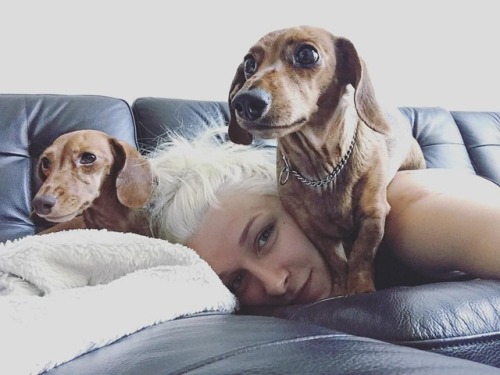 MUST. PROTECT. MAMA ‍✈️#stevieshaex #stevieshae #rockyandmini #dachshundsofinstagram