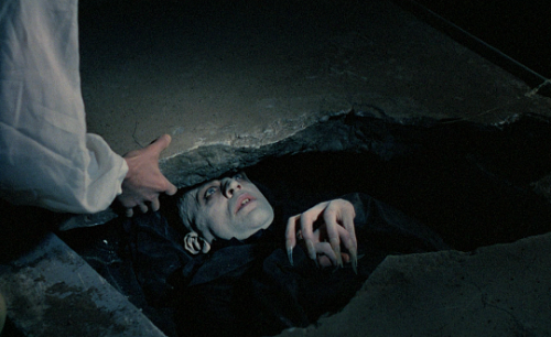 thelittlefreakazoidthatcould:Time is an abyss profound as a thousand nights. Nosferatu the Vampyre (1979) // dir. Werner Herzog  