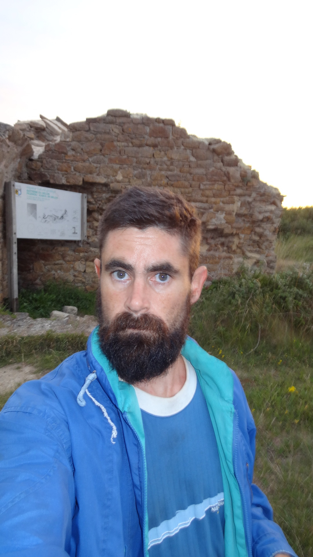 beardbreton