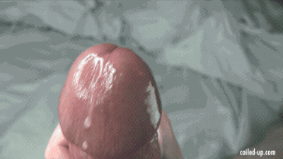 https://cellmate37.tumblr.com/post/112288830477