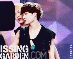 sekairis:  24/ ∞ EXO gifs | Kai (ft:lay's aniyo)   