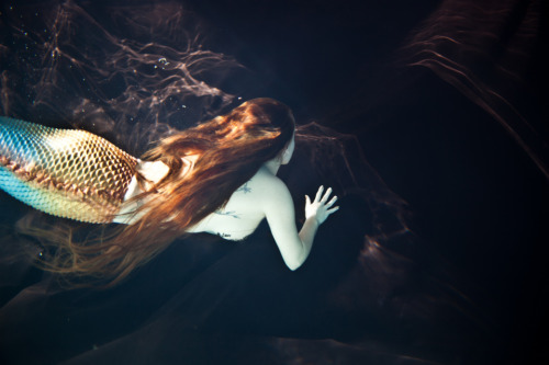 mermaidsirena:  Ambre Saint-Clare a talented Mermaid Performer this week released several new photos from a beautiful photo-shoot she had with Servane Roy Berton, more photos can be seen on her Facebook Page. 