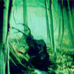 roominthecastle:  wendigo: a malevolent, violent, cannibal spirit, which inhabits