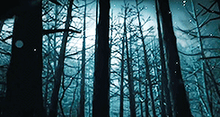 christophur:  Mortal Kombat X 