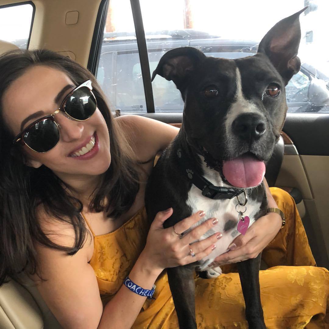 This is Molly and she’s a perfect doggo 12/10 would ride to @Coachella with again