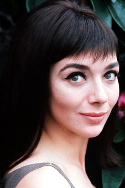 billyhopkinson: Jacqueline Pearce