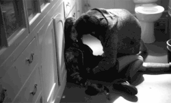 thezealotsblindfold:  Skins (UK)