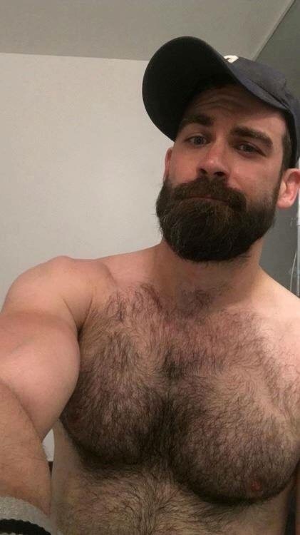 harrybacks:  BlackBeards 25   Eyes, pecs and fur.